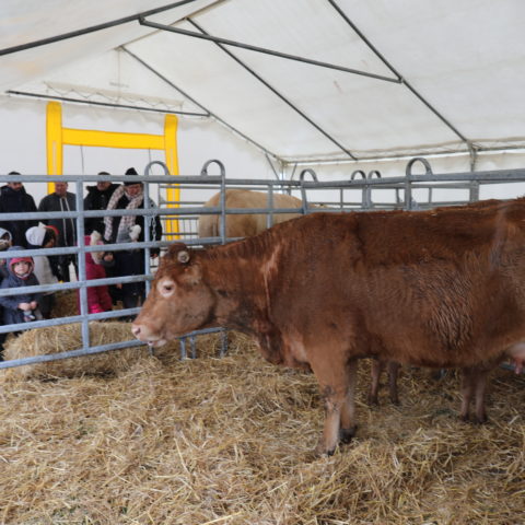 Congres FNB viande bovine 2018 Photo AmaCom Communication